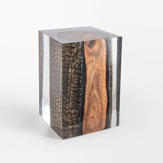 Bronze Burned Wood Stump Stool Table