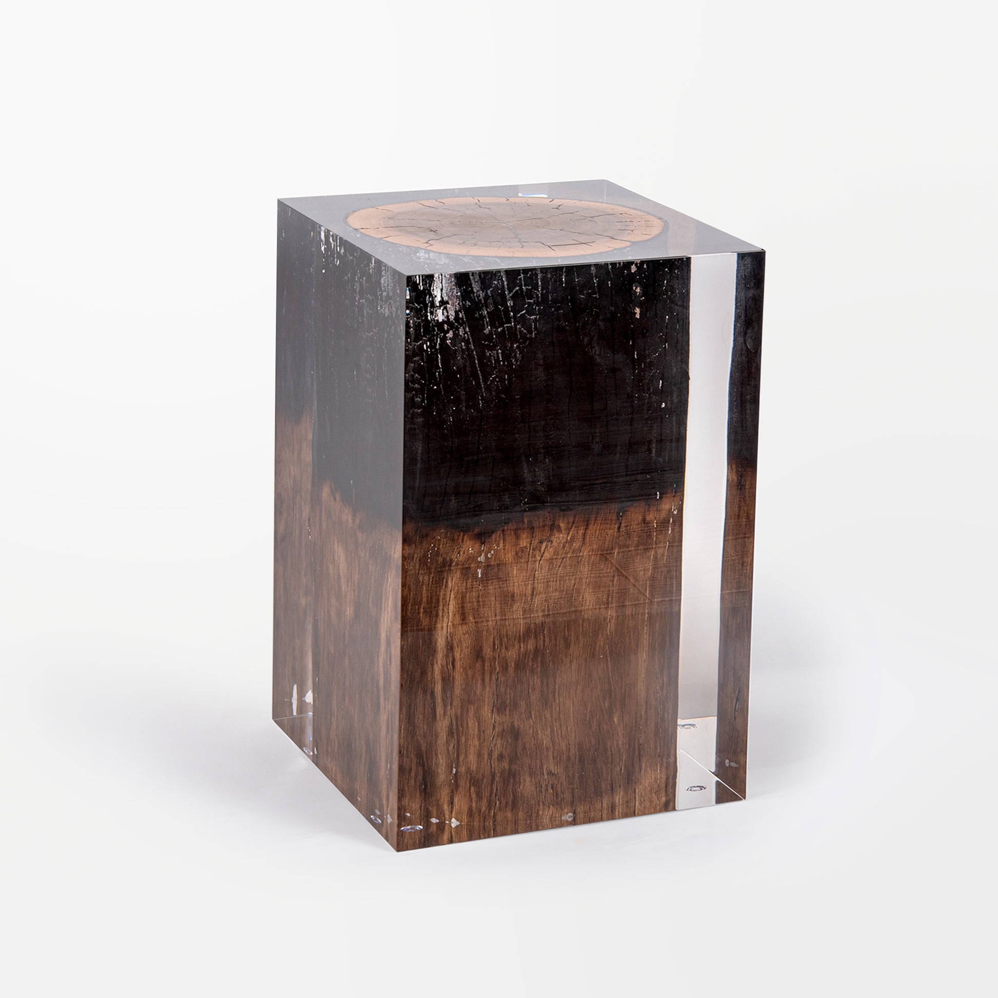 Burned Wood Stump Stool Table_Transparent Acrylic Side Table_Creative Interiors Funiture_Rustic / Vintage Interior Design