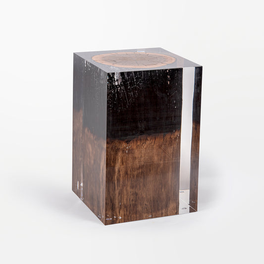 Burned Wood Stump Stool Table_Transparent Acrylic Side Table_Creative Interiors Funiture_Rustic / Vintage Interior Design
