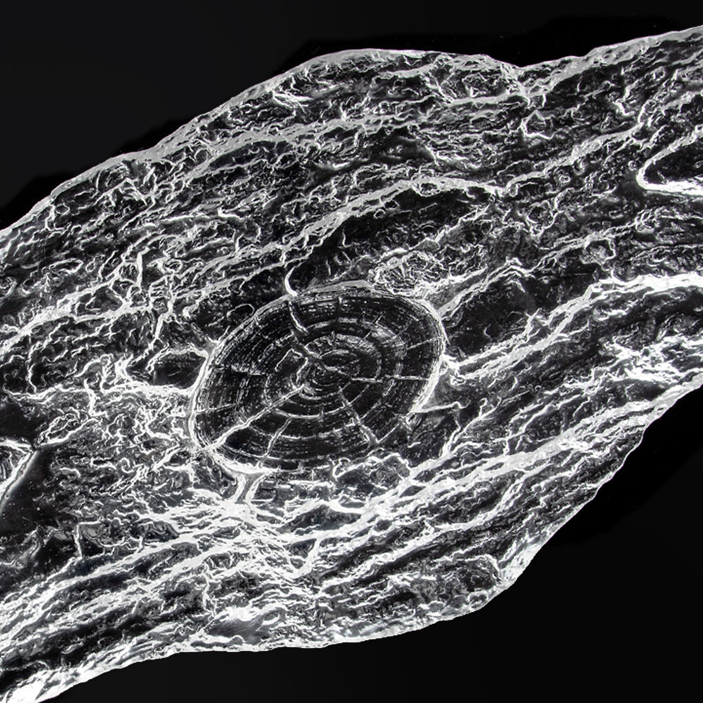 Rustic Bark Cast Stand