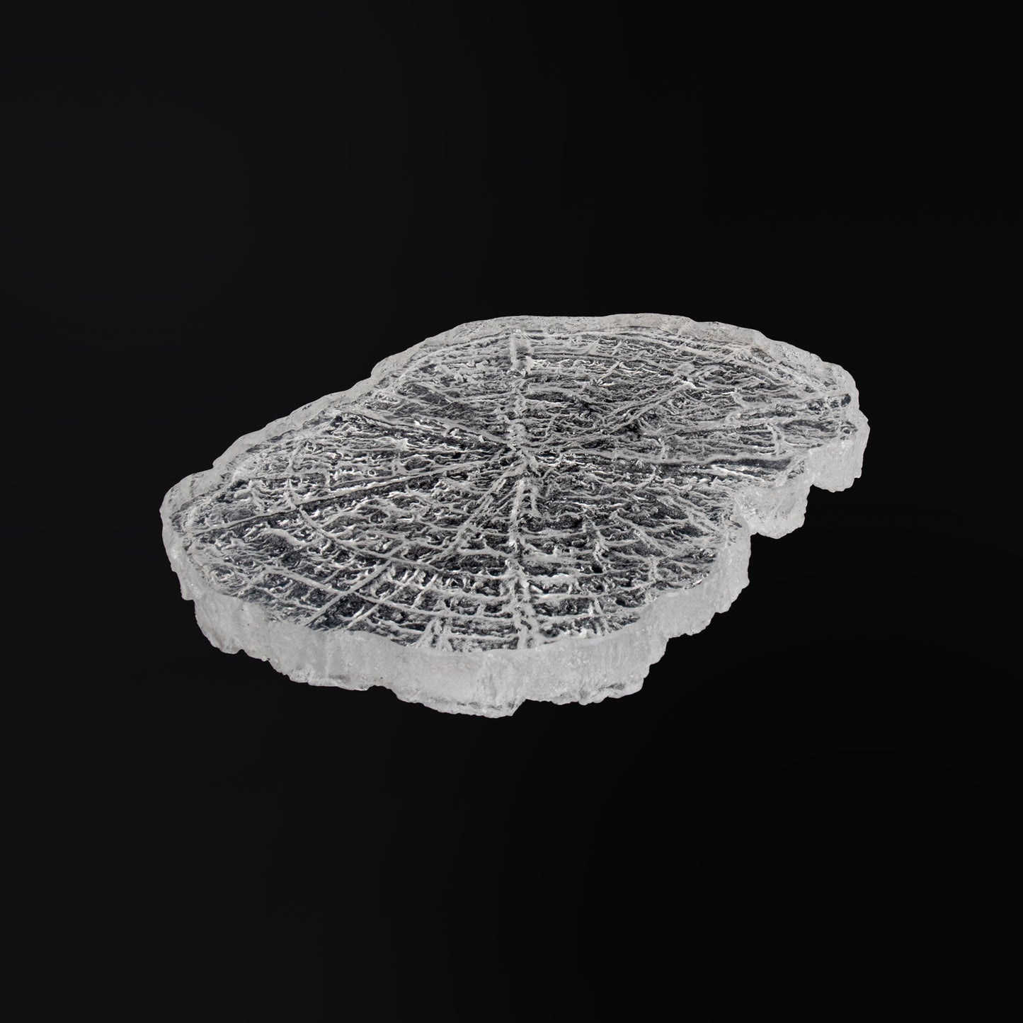 Rustic Annual Ring Tea Tray