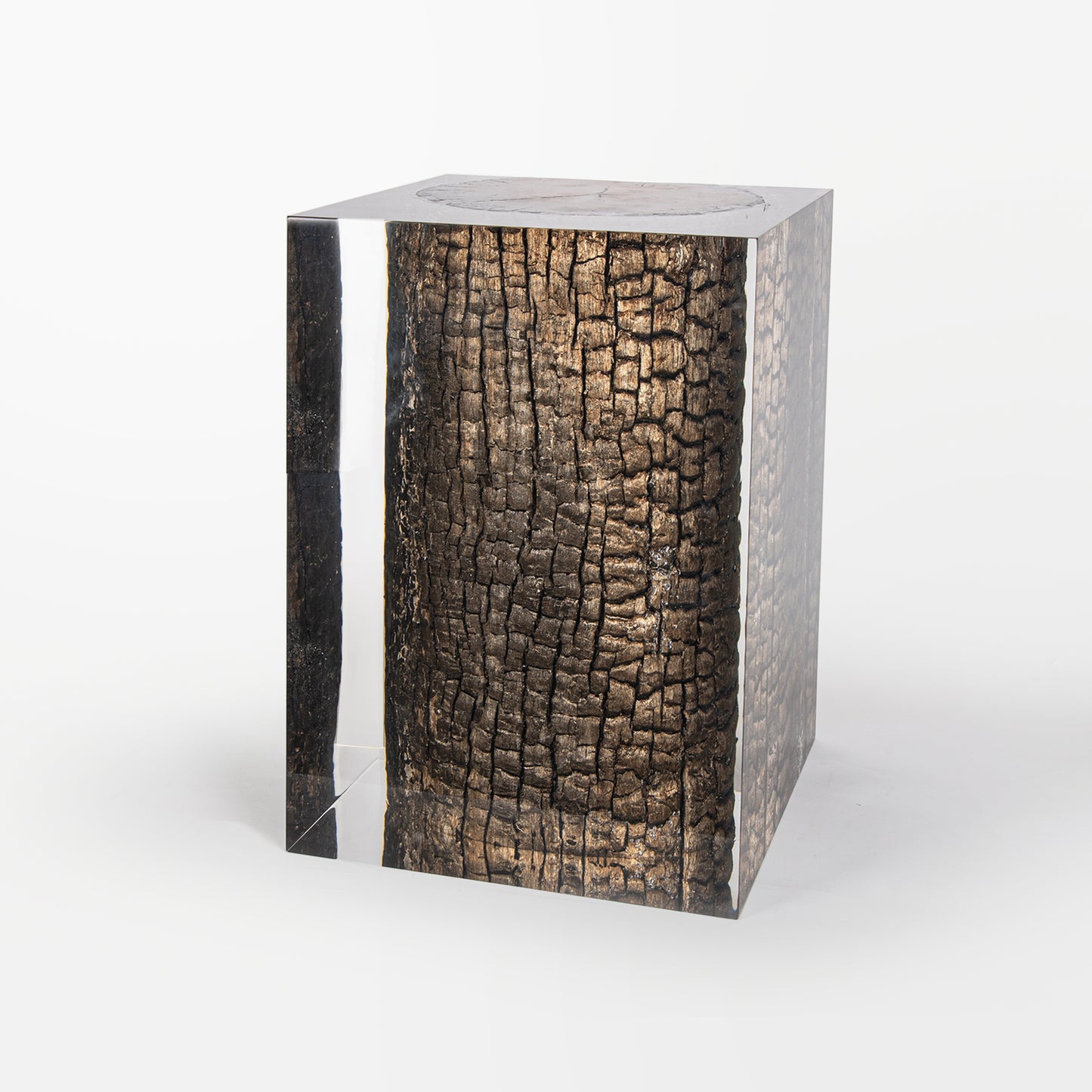 Bronze Burned Wood Stump Stool Table