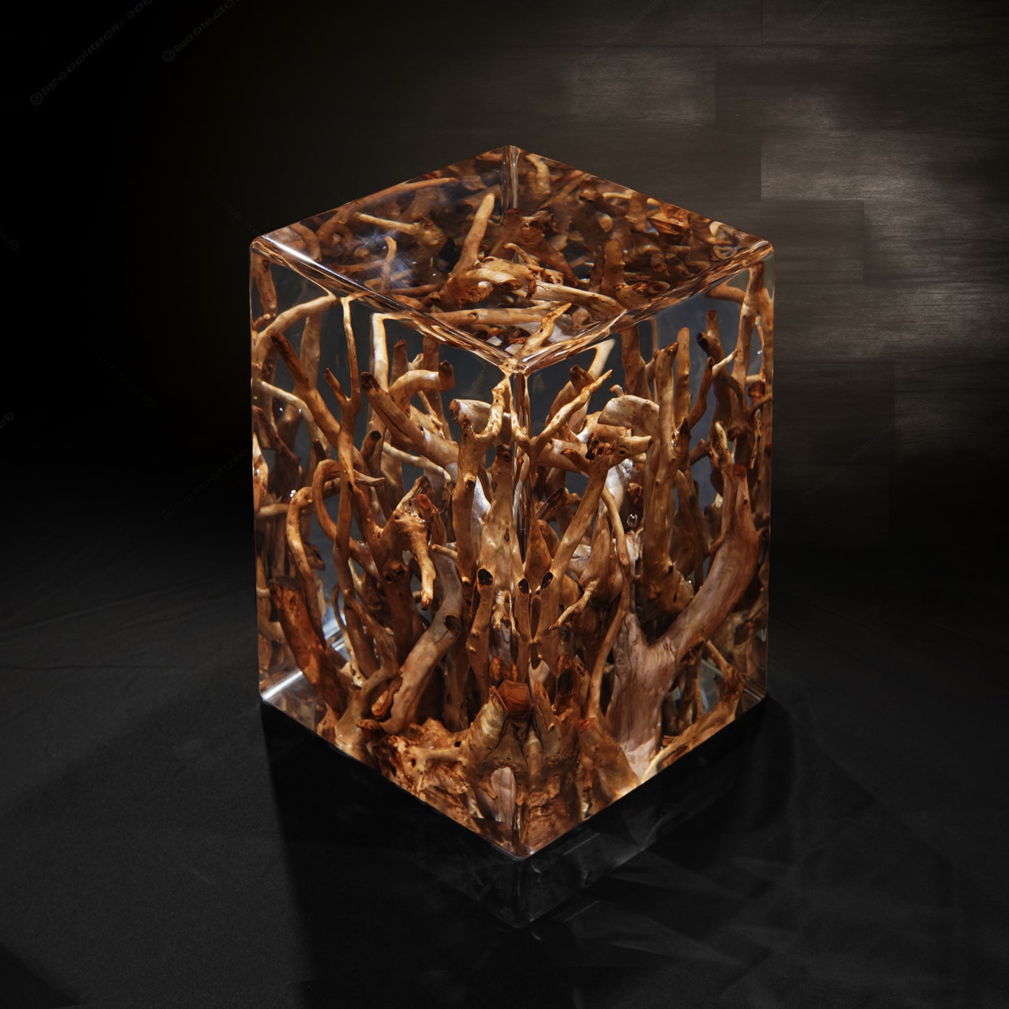 Tree Roots Stool Table