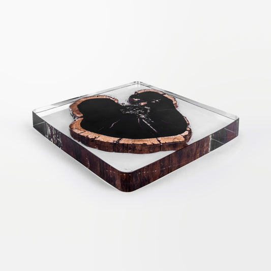 Ebony Wood Square Tray