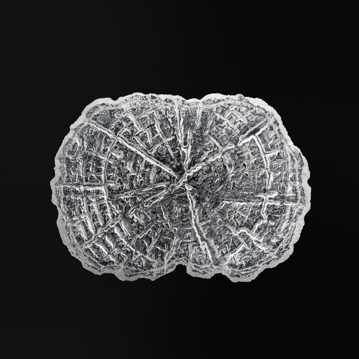 Rustic Annual Ring Tea Tray