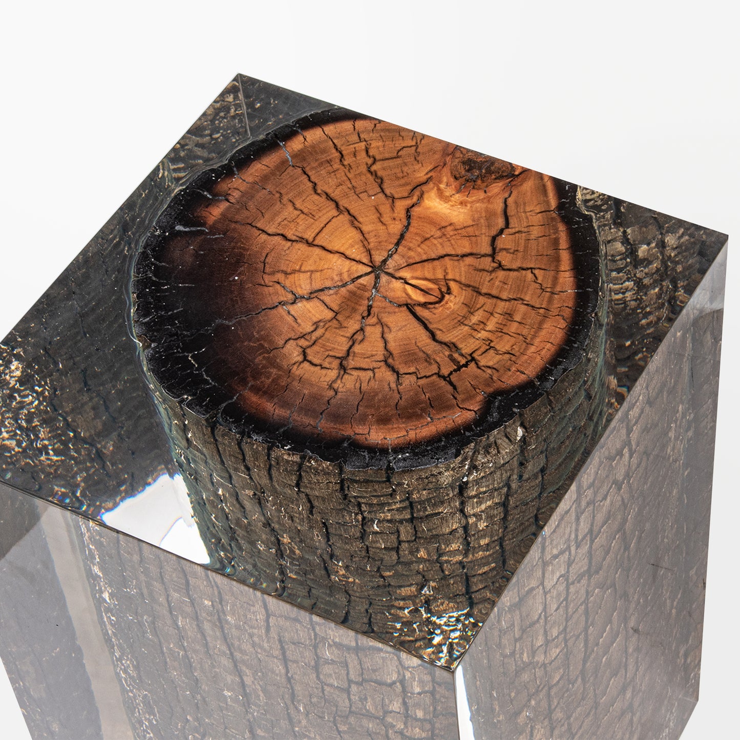 Bronze Burned Wood Stump Stool Table