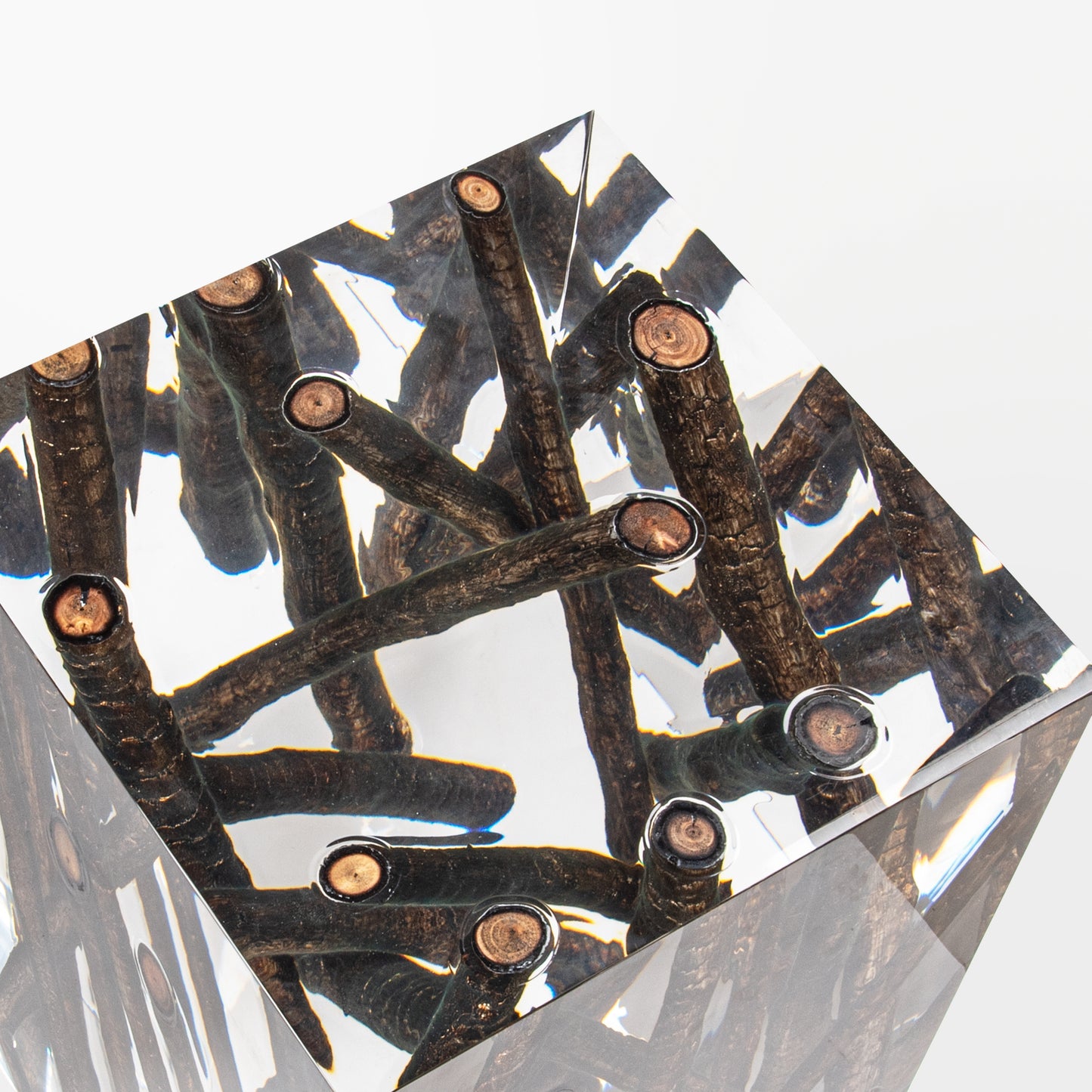 Gilded Burned Wood Log Side table