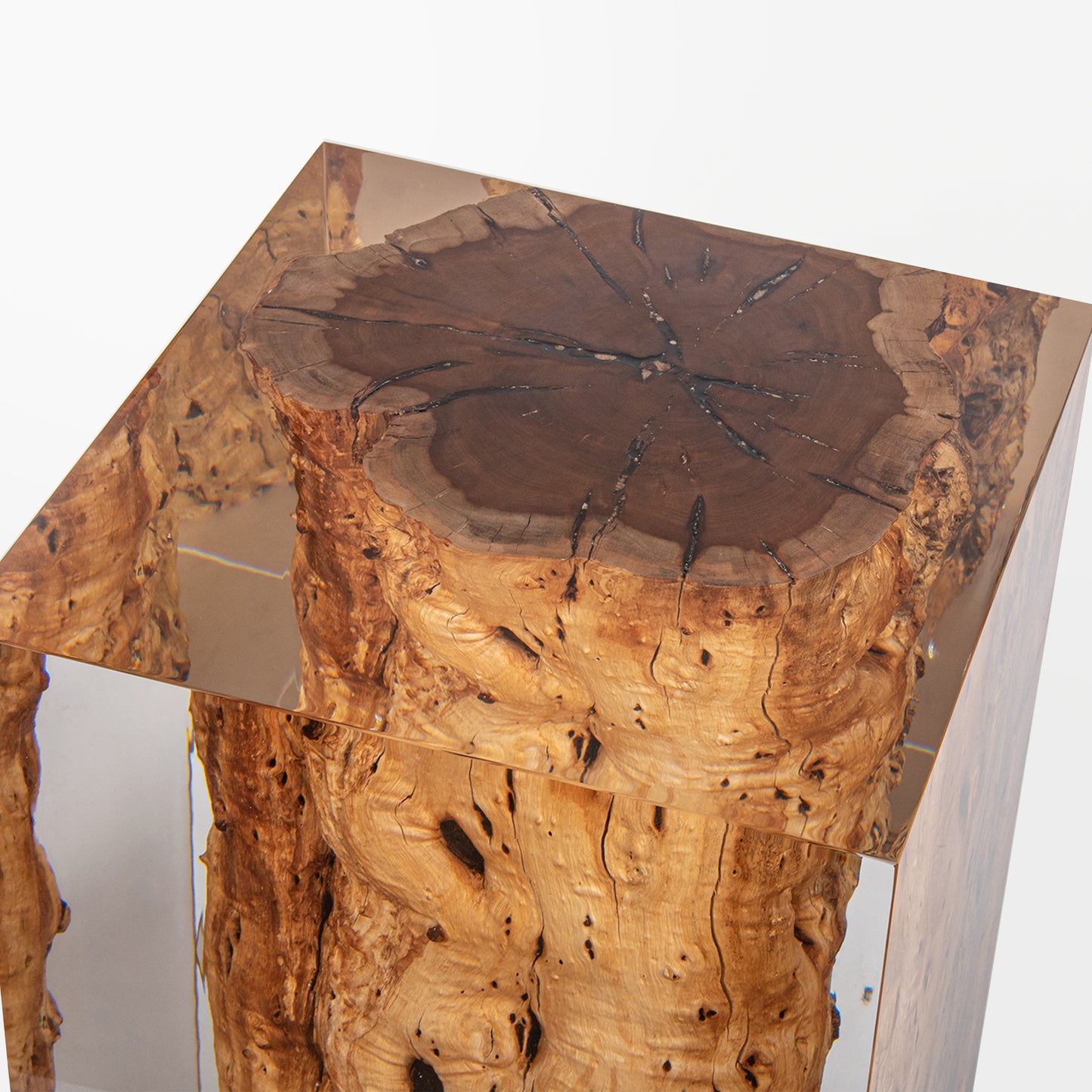 Sandalwood Stump Stool Table - Cut-Side