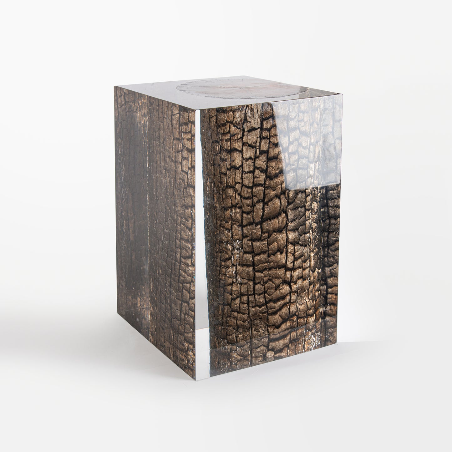 Bronze Burned Wood Stump Stool Table