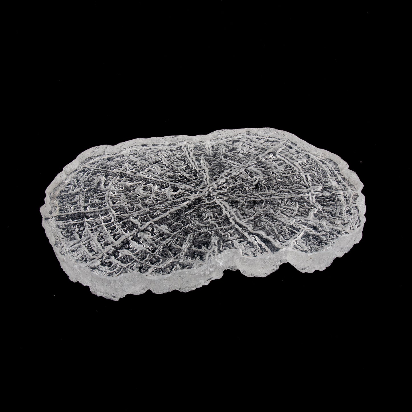 Rustic Annual Ring Tea Tray