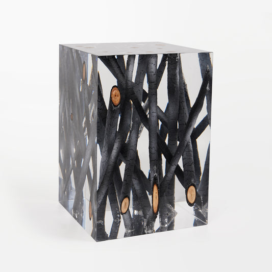 Burned Wood Log Stool Table