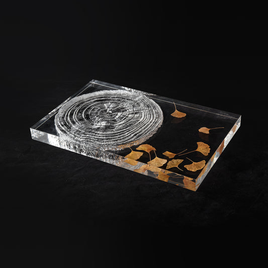 Annual Ring Tray - Ginkgo Leaf Edition