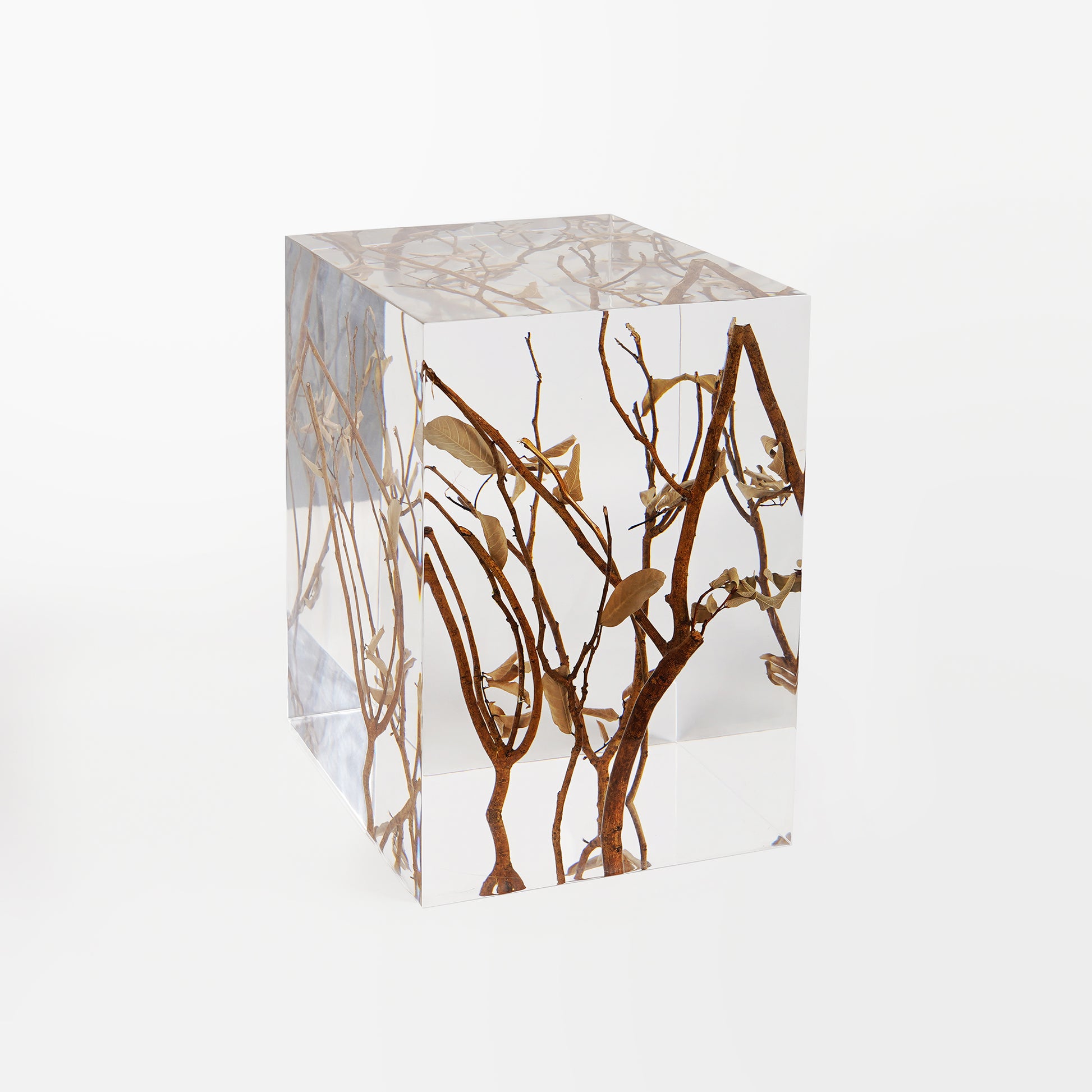 Tree Branch Stool Table_Transparent Side Table_natural elements in interior design_zen interior decor
