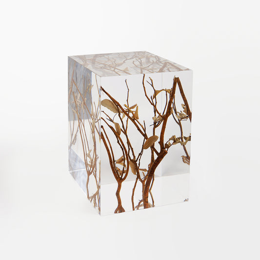 Tree Branch Stool Table_Transparent Side Table_natural elements in interior design_zen interior decor