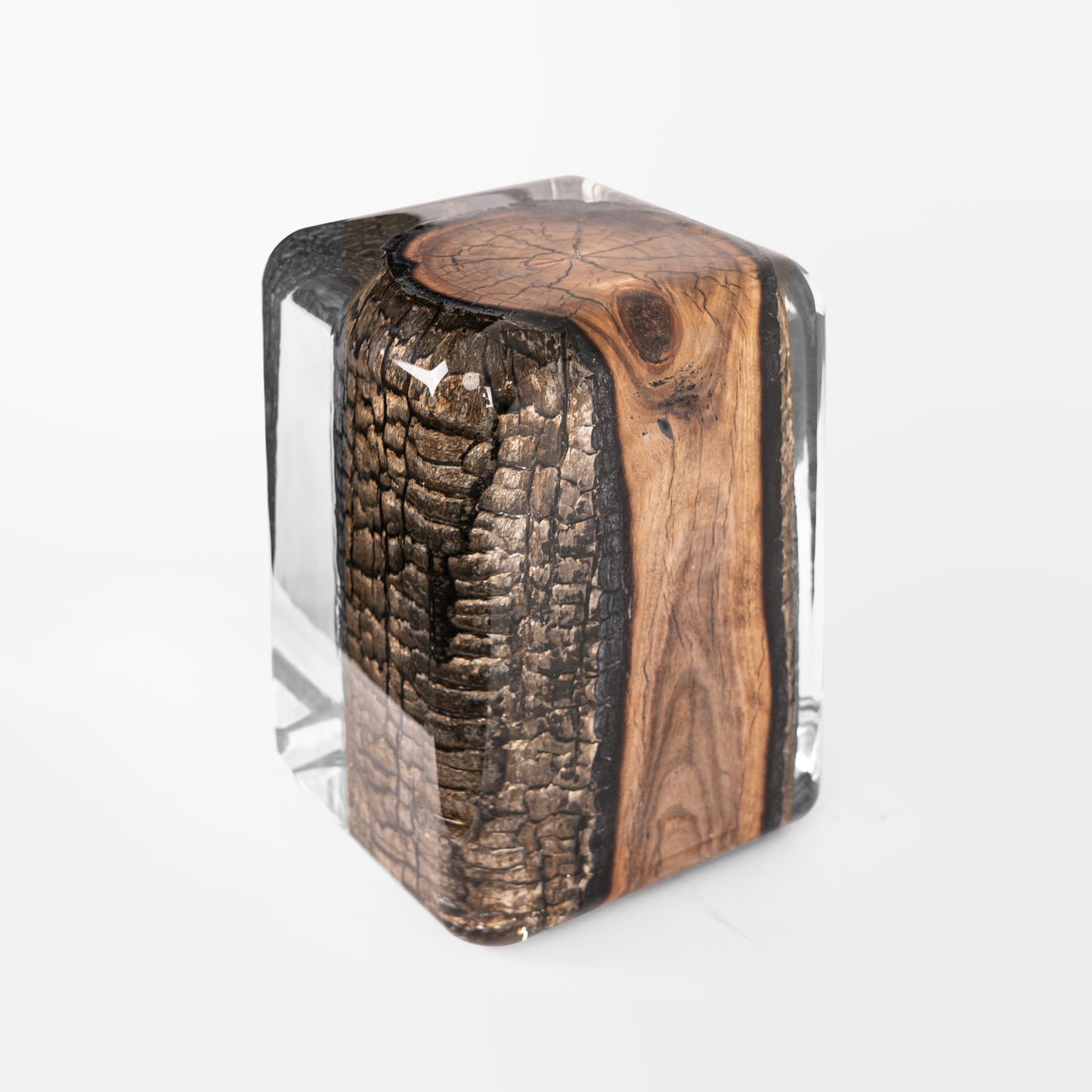 Bronze Burned Wood Stump Stool Table