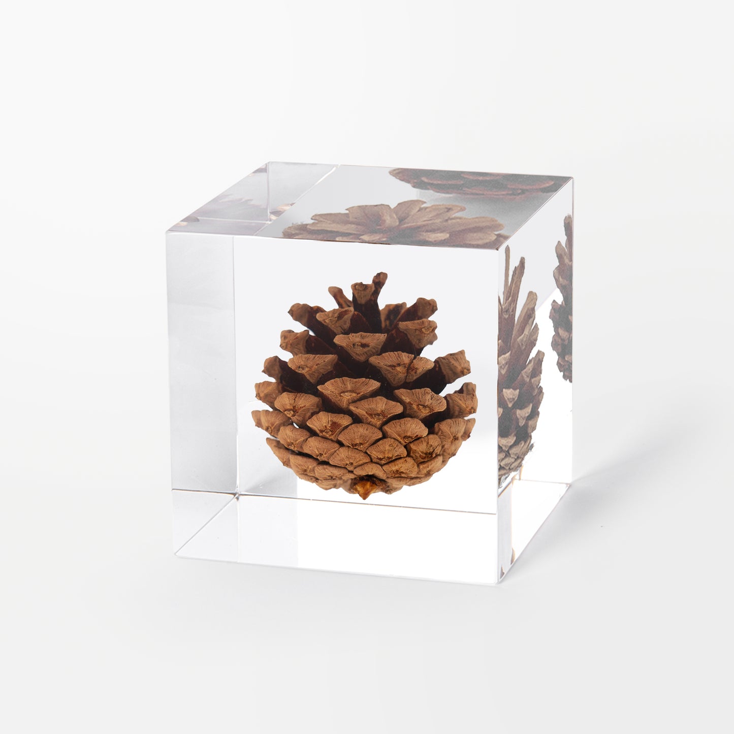 Pine Cone Cube