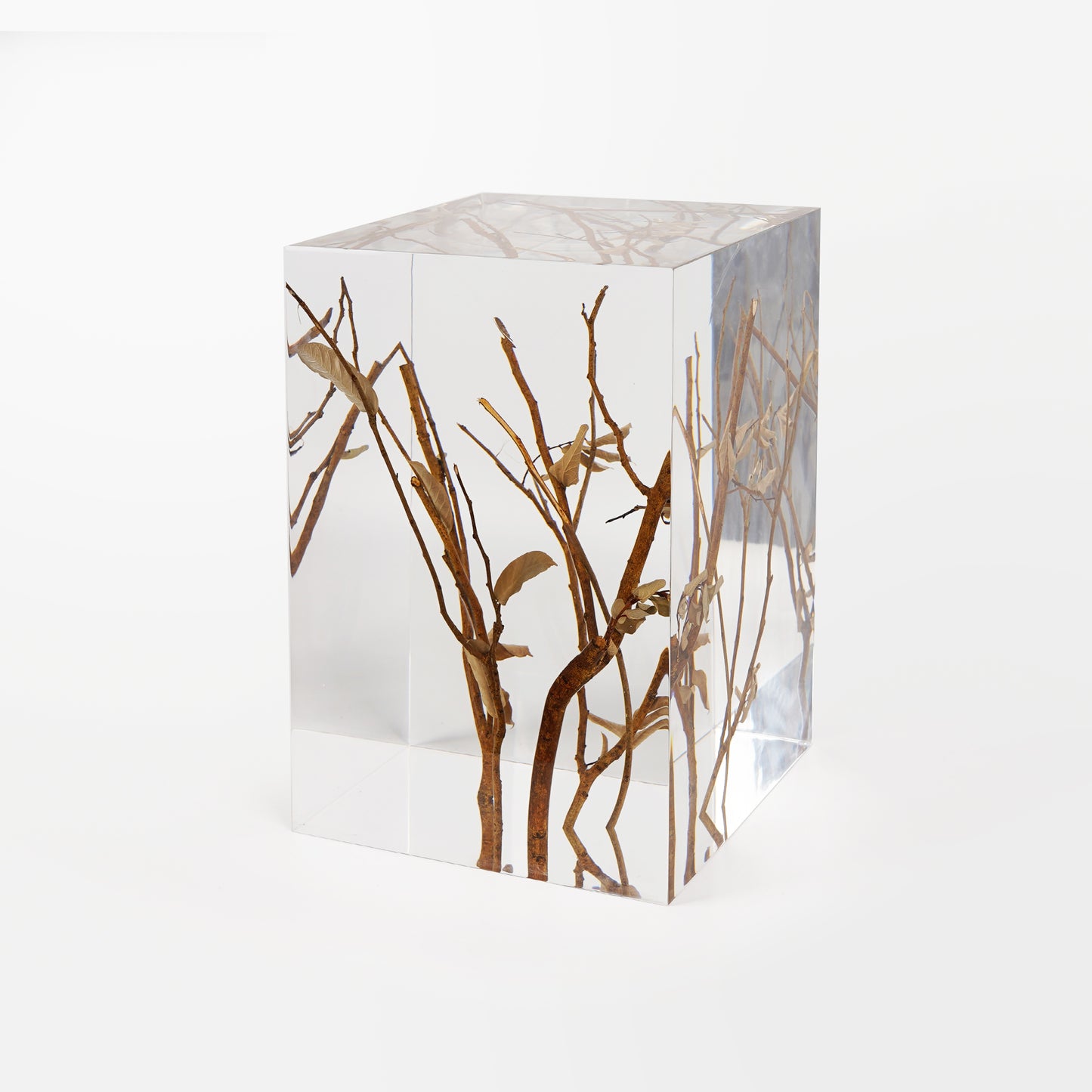 Branches Stool Table