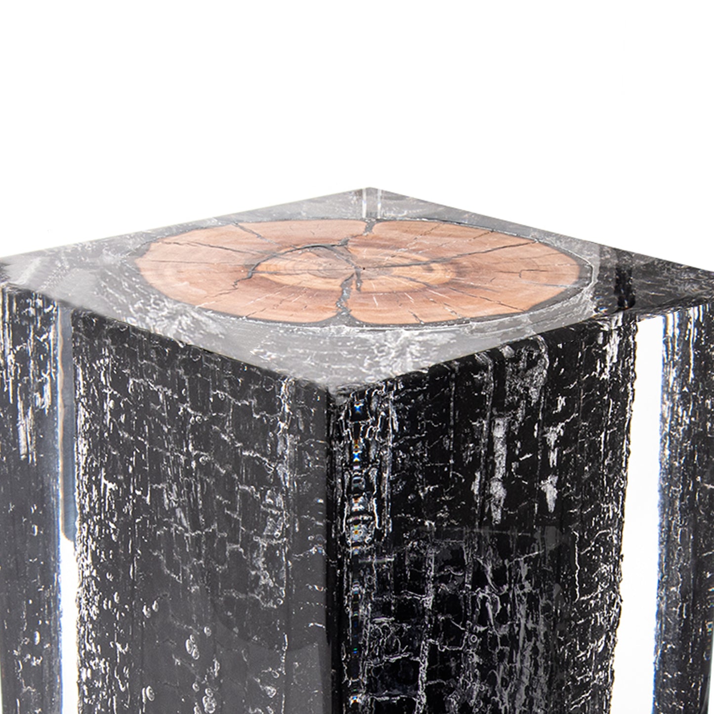 Burned Wood Stump Stool Table