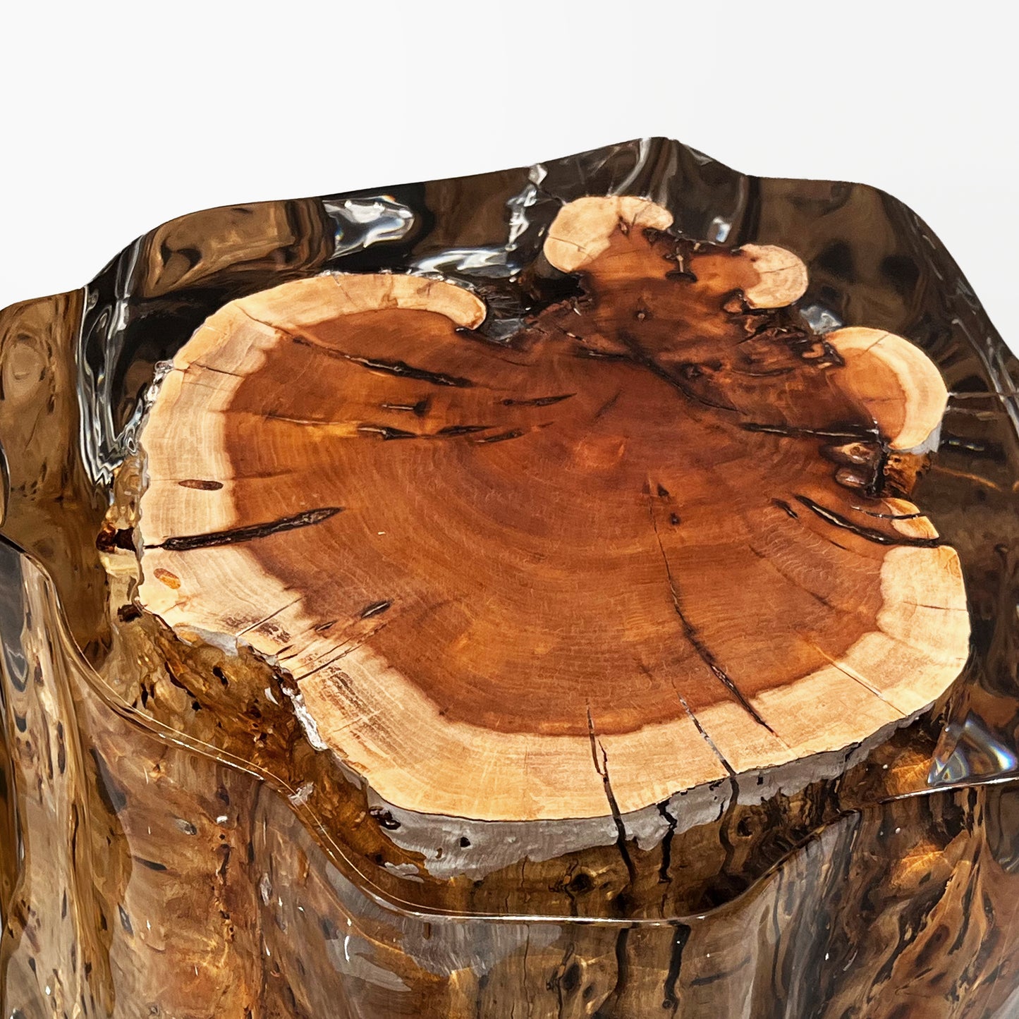 Sandalwood Stump Stool Table - Ripple