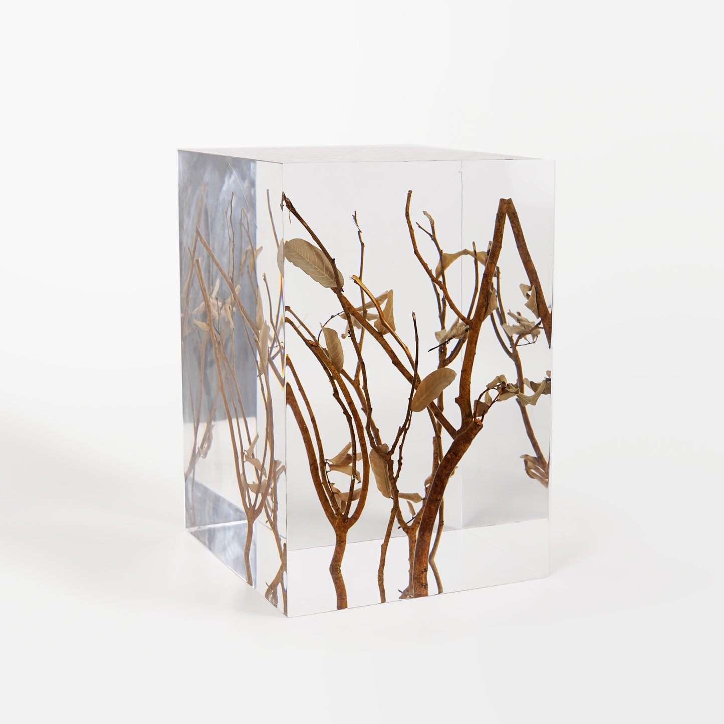 Branches Stool Table