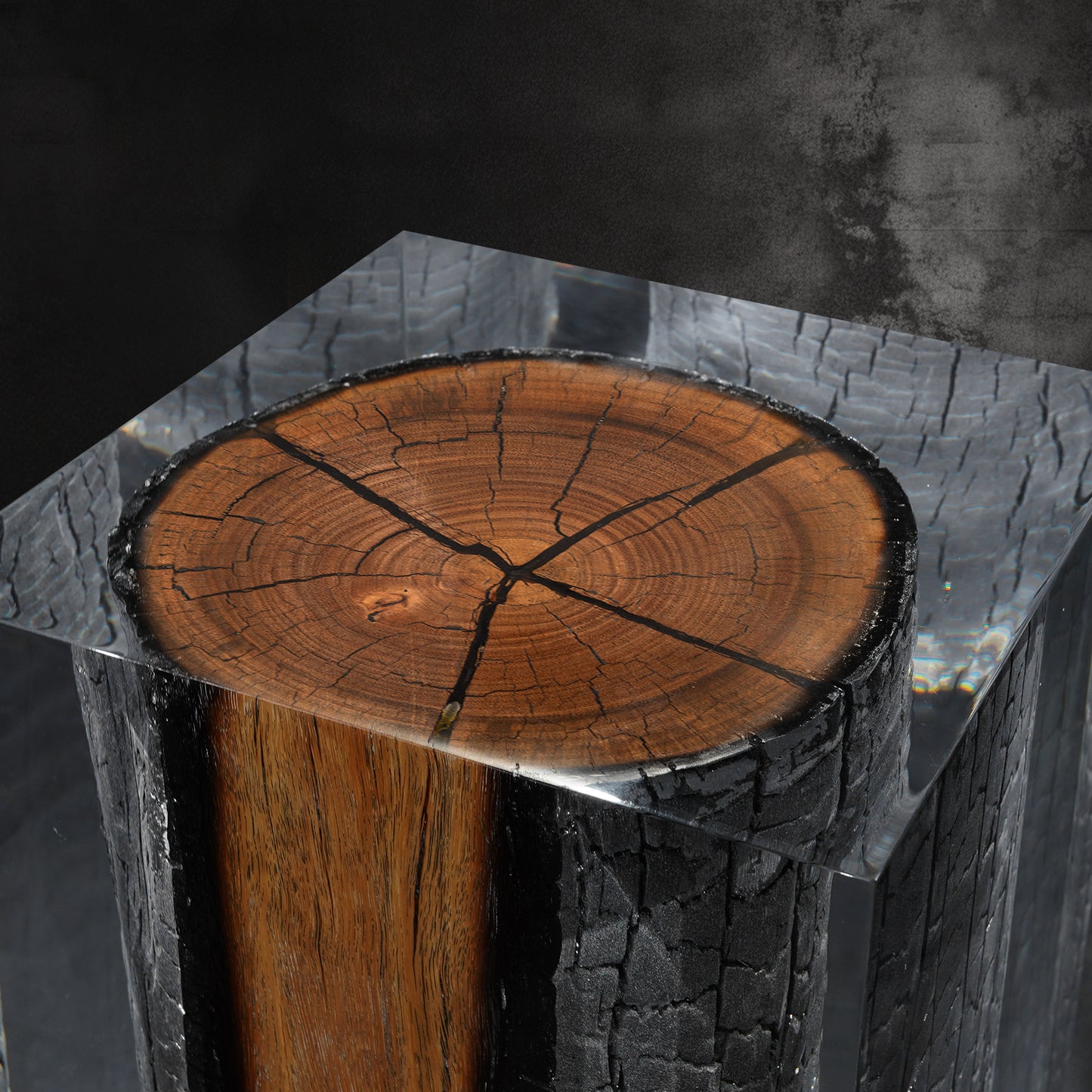 Burned Wood Stump Stool Table - Cut