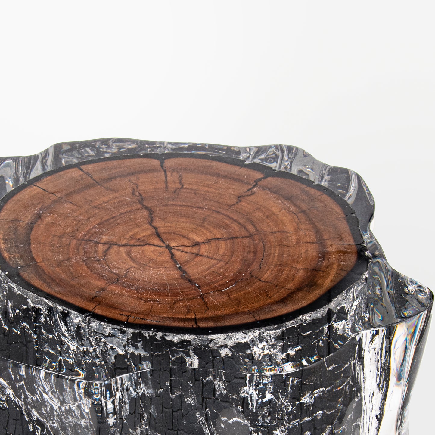 Burned Wood Stump Stool Table - Ripple