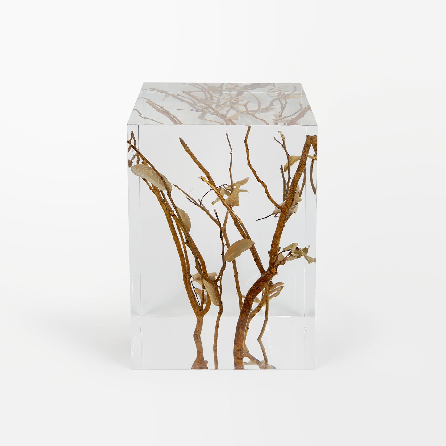 Branches Stool Table