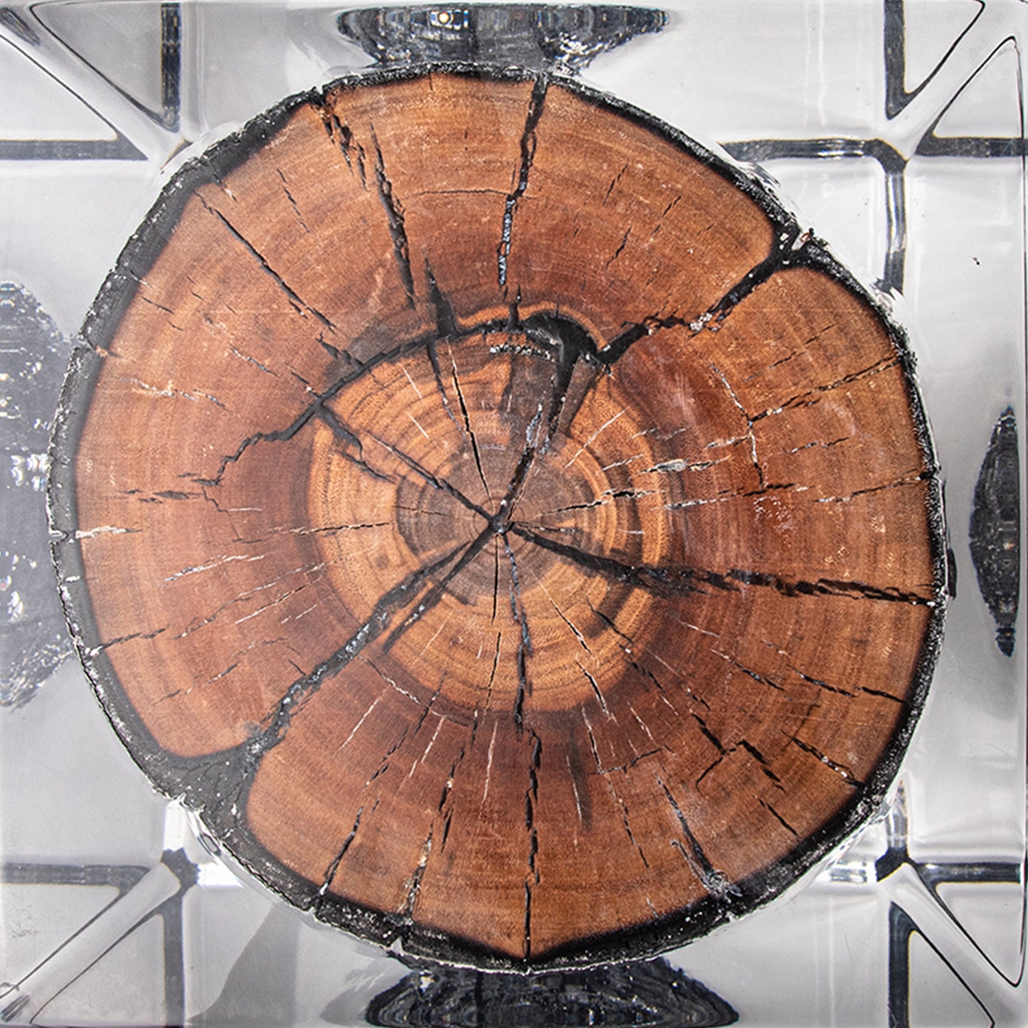 Burned Wood Stump Stool Table