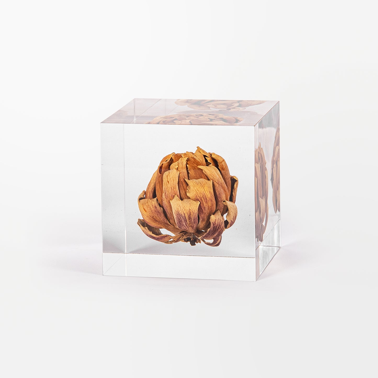 Artichoke Cube